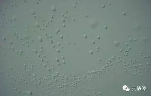 1477464222195122.jpg 640.webp.jpg